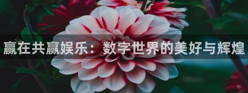 顺盈娱乐：赢在共赢娱乐：数字世界的美好与辉煌