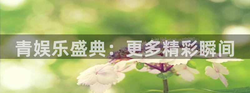 顺盈娱乐：青娱乐盛典：更多精彩瞬间