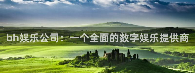 顺盈娱乐：bh娱乐公司：一个全面的数字娱乐提供商