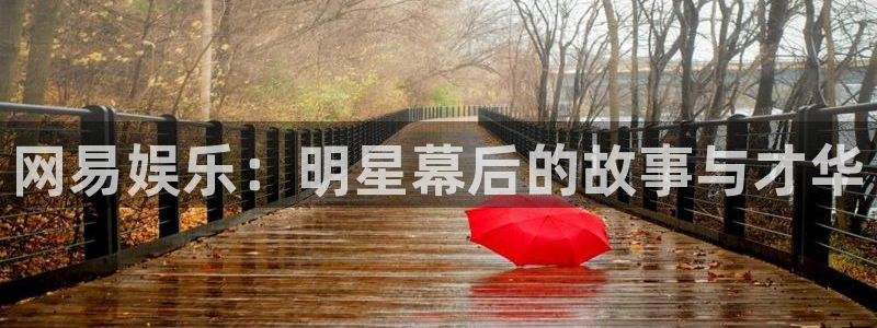 顺盈娱乐：网易娱乐：明星幕后的故事与才华