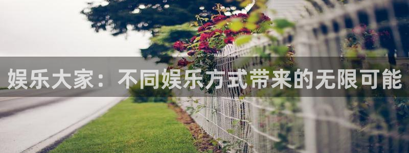 顺盈娱乐