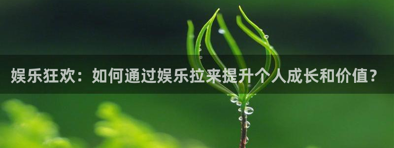 顺盈娱乐：娱乐狂欢：如何通过娱乐拉来提升个人成长和价值？