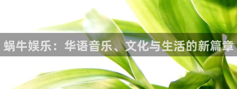 顺盈娱乐：蜗牛娱乐：华语音乐、文化与生活的新篇章