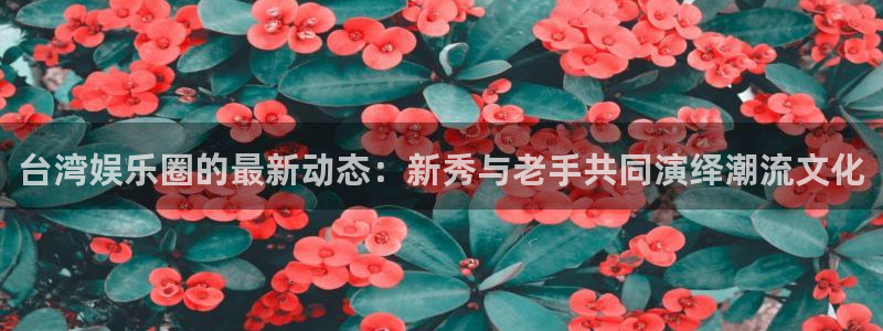 顺盈娱乐：台湾娱乐圈的最新动态：新秀与老手共同演绎潮流文化