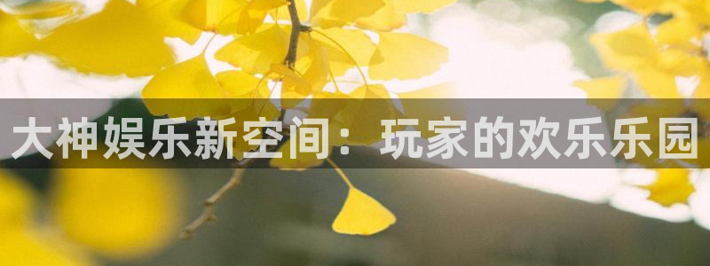 顺盈娱乐：大神娱乐新空间：玩家的欢乐乐园