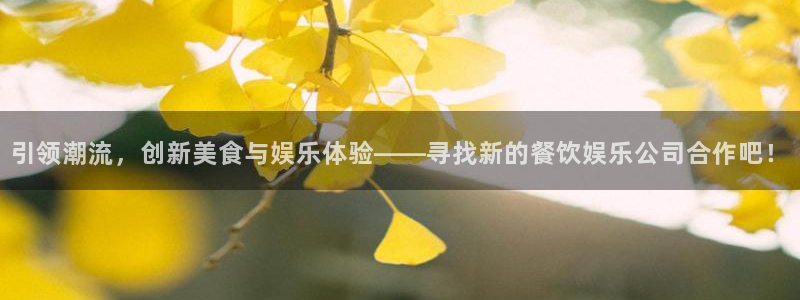 顺盈娱乐：引领潮流，创新美食与娱乐体验——寻找新的餐饮娱乐公司合作吧！