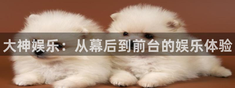 顺盈娱乐：大神娱乐：从幕后到前台的娱乐体验