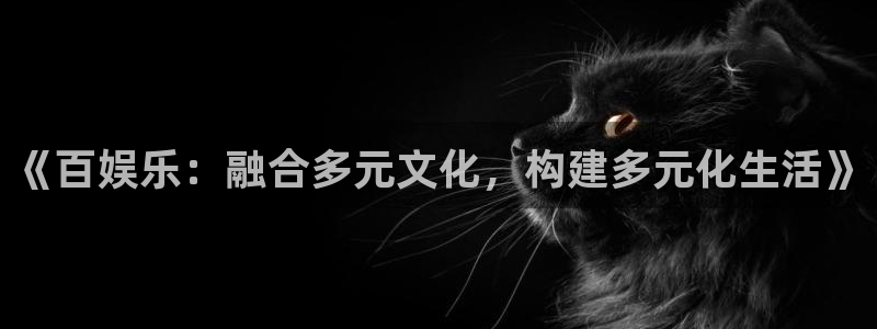顺盈娱乐：《百娱乐：融合多元文化，构建多元化生活》