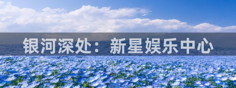 顺盈娱乐：银河深处：新星娱乐中心
