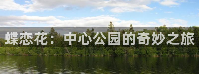 顺盈娱乐：蝶恋花：中心公园的奇妙之旅