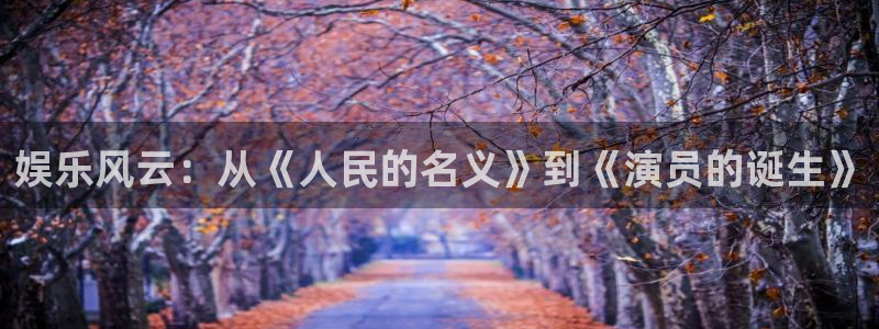 顺盈娱乐：娱乐风云：从《人民的名义》到《演员的诞生》