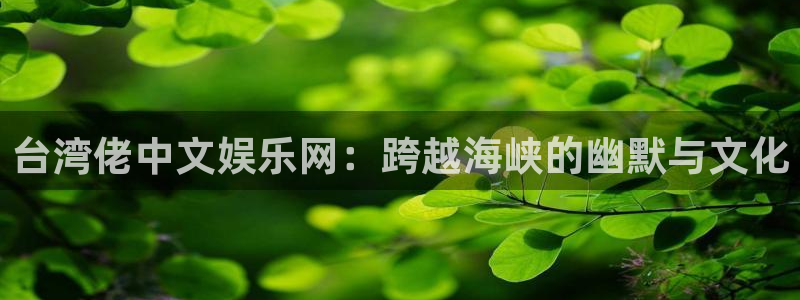 顺盈娱乐：台湾佬中文娱乐网：跨越海峡的幽默与文化